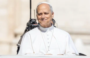 Pope Leo XIV spoke about how Christ can heal our past during the Wednesday general audience in St. Peter’s Square on June 18, 2025. Credit Daniel Ibanez/CNA