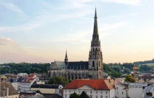 The Cathedral of the Immaculate Conception in Linz, Austria, is the largest church building in that country. Credit: Dein Freund der Baum, CC BY-SA 3.0 <https://creativecommons.org/licenses/by-sa/3.0>, via Wikimedia Commons
