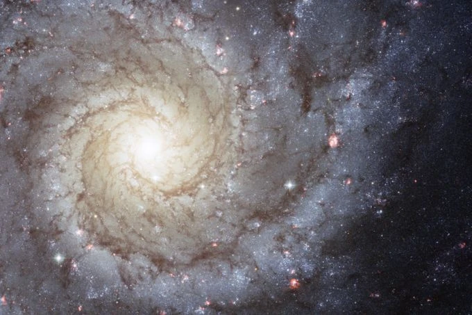 Galaxy M74.?w=200&h=150