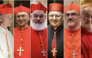 From left to right: Cardinal Louis Sako (Iraq), Cardinal Mario Zenari (Syria), Cardinal Dominique Mathieu (Iran), 
Cardinal Louis Sako (Iraq), Cardinal Pierbattista Pizzaballa (Jerusalem), and Cardinal Cristóbal López Romero (Morocco). Credits: Romy Haber/ACI MENA