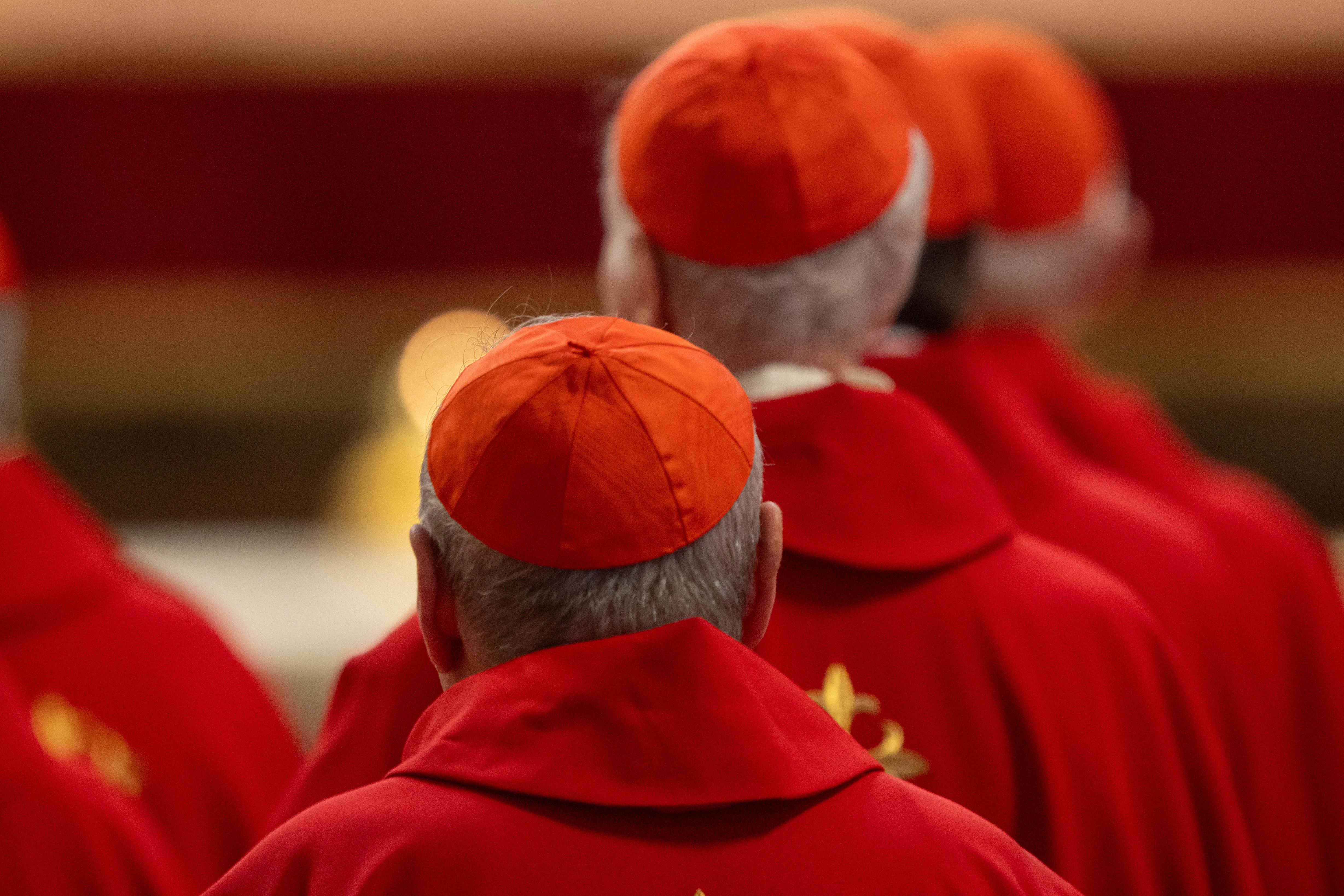 Cardinals gather for the the seventh Novendiales Mass for Pope Francis on May 2, 2025, in St. Peter’s Basilica at the Vatican.?w=200&h=150