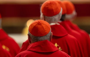 Cardinals gather for the the seventh Novendiales Mass for Pope Francis on May 2, 2025, in St. Peter’s Basilica at the Vatican. Credit: Daniel Ibañez/CNA