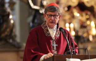 Cardinal Rainer Maria Woelki, archbishop of Cologne in Germany. Credit: Marko Orlovic/German Bishops' Conference (DBK)